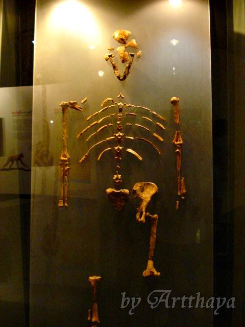 Museum253.JPG